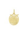 Pingente Espirito Santo com Oracao - 00 - 18mm x 31mm - 2.69gr