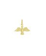 Pingente Espirito Santo - 00 - 17mm x 18mm - 0.35gr