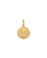 Pingente Sao Bento em Pe 15mm - 00 - 15mm x 23mm - 1.63gr