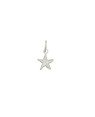 Pingente Estrela do Mar Dupla - G5 - 9mm x 15mm - 0.40gr