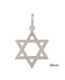 Pingente Estrela de Davi - G1 - 30mm x 49mm - 3.54gr