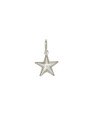 Pingnete Estrela Simples Dupla - G3 - 12mm x 20mm - 0.73gr