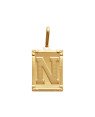 Pingente Retangulo Letra "N"  - 00 - 20mm x 42mm - 4.00gr