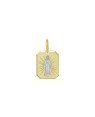 Pingente Placa N.Sra. Gracas c/ Oracao Atras (Rodio) - 00 - 12mm x 21mm - 1.29gr