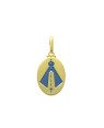 Pingente Oval c/ N. Sr. Aparecida Reticulada (Resina) - 00 - 14mm x 31mm - 1.60gr