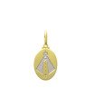 Pingente Oval c/ N. Sr. Aparecida Reticulada (Rodio) - 00 - 14mm x 31mm - 2.11gr