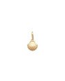 Pingente Concha 8mm - 00 - 8mm x 13mm - 0.32gr