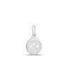 Pingente AG (SEM Envelher) Redondo 11mm Profissao "Administracao"  - G3 - 11mm x 19mm - 0.89gr