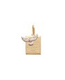 Pingente Oracao Espirito Santo c/ Espirito St 15mm (Rodio) - 00 - 16mm x 23mm - 1.40gr