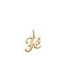 Pingente Fe 15mm - 00 - 16mm x 25mm - 0.89gr