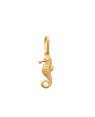 Pingente Cavalo Marinho 14mm  - 00 - 6mm x 22mm - 0.39gr