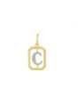 Pingente Letra C - 00 - 11mm x 22mm - 0.57gr