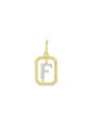 Pingente Letra F - 00 - 11mm x 22mm - 0.52gr