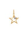 Pingente Estrela Vaz Diamantada p/ Pedra Chaton (Rodio) - 00 - 18mm x 26mm - 0.63gr