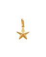 Pingente Estrela Diamantada 10mm  - 00 - 10mm x 18mm - 0.36gr