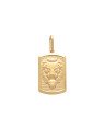 Pingente Leao de Juda  - 00 - 13mm x 29mm - 1.65gr