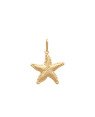 Pingente Estrela do Mar Borda Torcida 20mm - 00 - 21mm x 29mm - 1.28gr