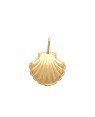 Pingente Concha Borda Torcida 20mm - 00 - 20mm x 27mm - 2.12gr