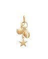 Pingente Cacho 1 Concha 1 Buzio 1 Estrela - 00 - 10mm x 30mm - 1.00gr