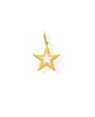 Pingente Estrela Vazada Lisa Reta  - 00 - 18mm x 26mm - 0.71gr