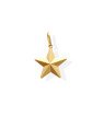 Pingente Estrela Diamantada Facetada  - 00 - 18mm x 26mm - 1.00gr