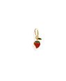 Pingente Morango 8.5mm p/ Resina   - 00 - 6mm x 15mm - 0.27gr