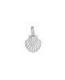 Pingente AG Concha 13mm Borda de Corda  - G1 - 14mm x 20mm - 1.19gr
