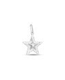 Pingente AG Estrela 17mm Centro Abaulada Borda Diamantada  - G1 - 17mm x 25mm - 1.22gr