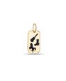 Pingente Placa 20mm Sertanejo - 00 - 13mm x 26mm - 1.50gr