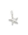 Pingente AG Estrela do Mar c/ Ondas 13mm - G3 - 15mm x 23mm - 0.73gr
