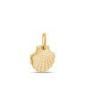 Pingente Concha 13mm Onda Reticulada - 00 - 13mm x 20mm - 0.90gr