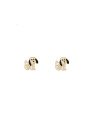 Brinco Cachorrinho Resina - 00 - 12mm x 12mm - 0.62gr