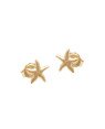Brinco Estrela do Mar - 00 - 8mm x 8mm - 0.47gr