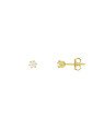 Brinco Solitario Garra Longa - 00 - 4mm x 4mm - 0.60gr