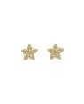 Brinco Fundicao - 42 Zirconia - Estrela Vaz 11mm - 00 - 11mm x 11mm - 1.31gr