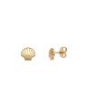 Brinco Concha  8mm - 00 - 8mm x 7mm - 0.75gr