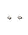 Brinco AG (Envelhecida) Concha  8mm - G5 - 8mm x 7mm - 0.89gr