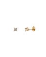 Brinco TP Solitario SS12 c/ 4 Garras  - 00 - 4mm x 4mm - 0.45gr
