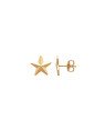 Brinco Estrela Diamantada 10mm - 00 - 10mm x 10mm - 0.93gr