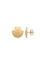 Brinco Concha Borda Torcida 13mm - 00 - 13mm x 13mm - 1.99gr