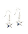 Brinco AG Gancho 1 Estrela c/ Lua Reticulada (Azul Perolizao) - G5 - 13mm x 31mm - 1.70gr
