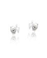 Brinco AG Raio Diamantado 6mm  - G5 - 2mm x 6mm - 0.41gr