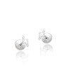 Brinco AG TP Raio Diamantado 6mm  - G5 - 2mm x 6mm - 0.43gr
