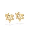 Brinco Estrela Irregular Textura Organica  - 00 - 21mm x 19mm - 3.36gr