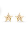 Brinco Estrela 17mm Centro Abaulado Borda Diamantada - 00 - 17mm x 17mm - 2.00gr