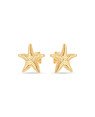 Brinco Estrela do Mar c/ Ondas 13mm - 00 - 15mm x 15mm - 1.40gr