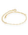 Pulseira c/ Corrente Elo Longo/Cartie/5X1 - CE - 6mm x 180mm - 1.53gr