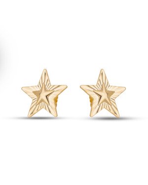 Brinco Estrela 17mm Centro Abaulado Borda Diamantada - 00 - 17mm x 17mm - 2.00gr