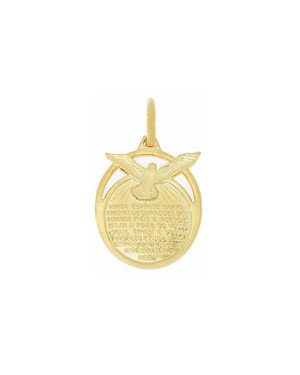 Pingente Espirito Santo com Oracao - 00 - 18mm x 31mm - 2.69gr