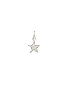Pingente Estrela do Mar Dupla - G5 - 9mm x 15mm - 0.40gr